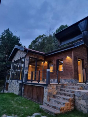 Chiplakova cottage by MRS